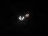 Drove Home in the Dark