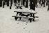 This is no picnic