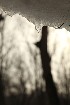 Snow Melt