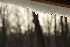 Snow Melt