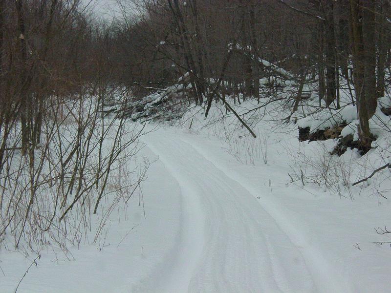 Trail - Click to Enlarge