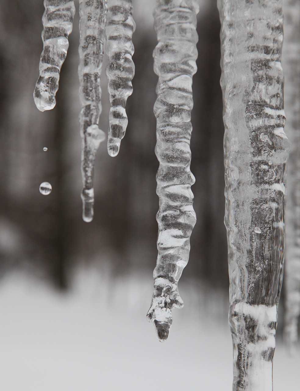 Click to Enlarge - Melting