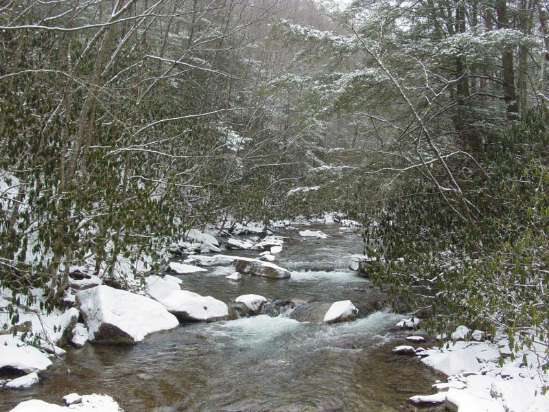 Stream - Click to Enlarge