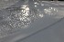 Slipstream