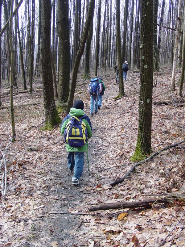 On the Trail