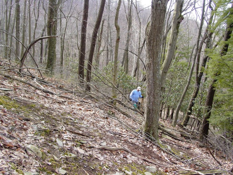 Tom hiking toward the Geocache
