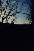 Second Mountain