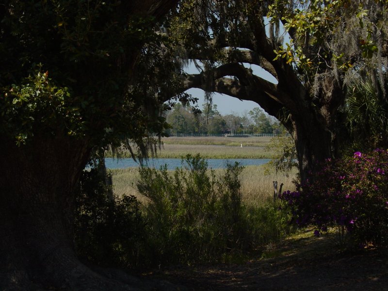 Path near Boone Hall Plantation House
