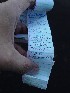 Isle of Palm Boulevard cache log