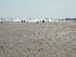 Isle of Palms Beach