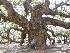 Ted at Angel Oak