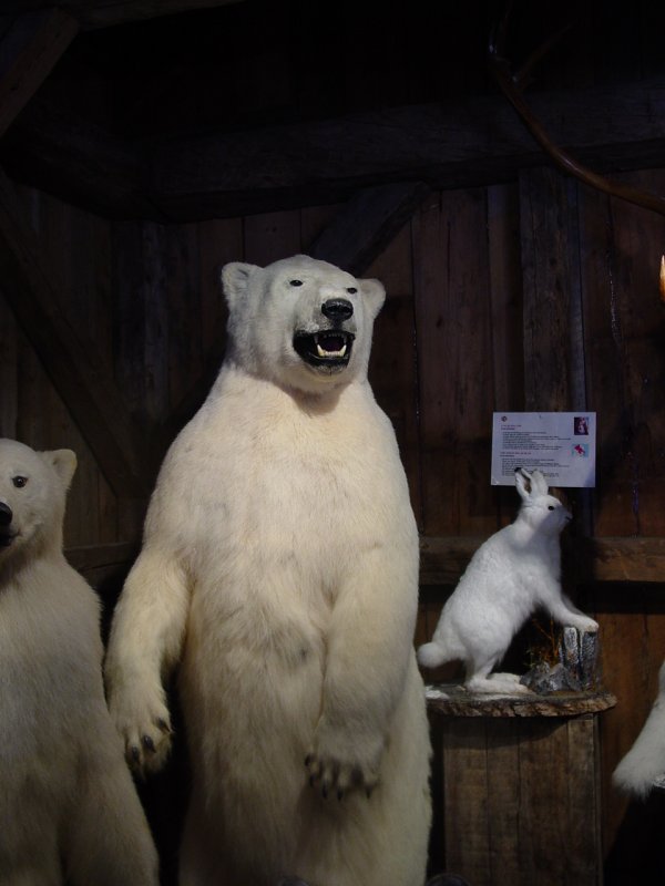 Québec Wildlife Museum
