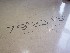 Coordinates