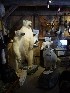 Québec Wildlife Museum