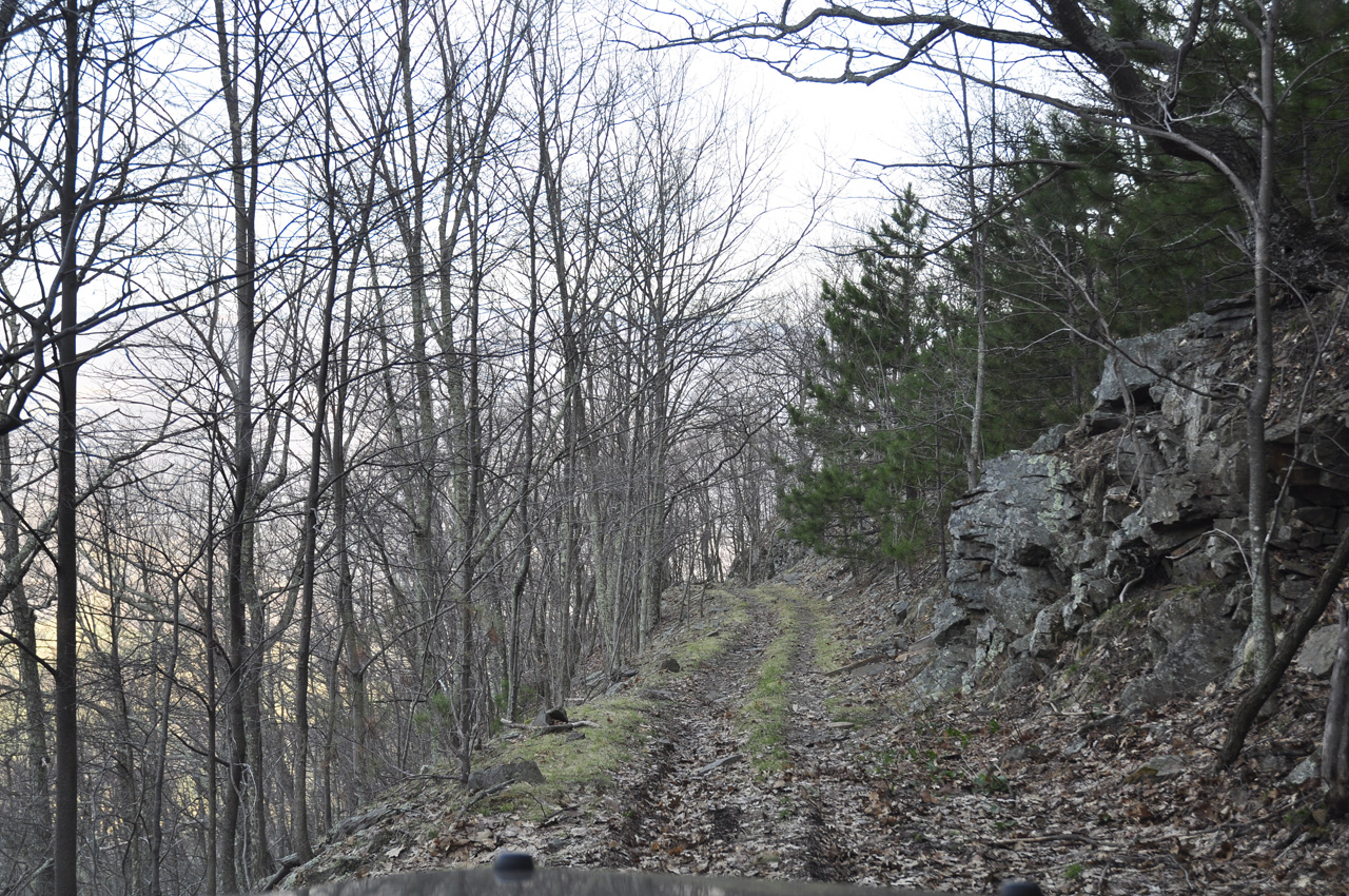 Shelf Road Ahead...