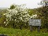 Bald Mountain Outlook on Blue Ridge Parkway