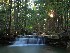 Tolliver Falls at Swallow Falls State Park