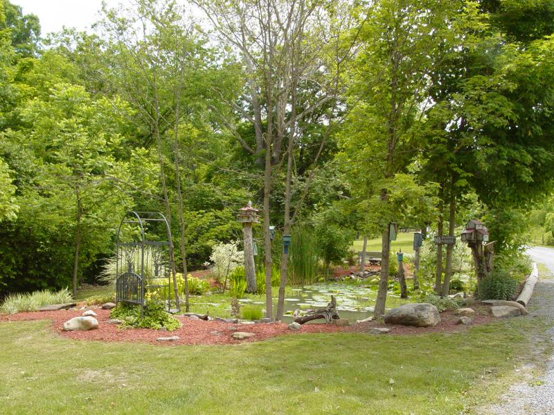 Camp Wapocoma Lily Pond