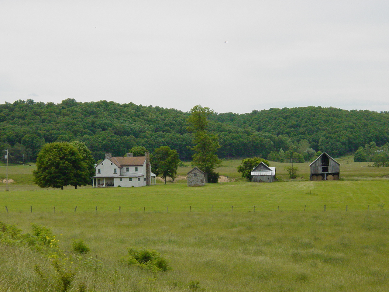 Scenes on the Road - Click to Enlarge