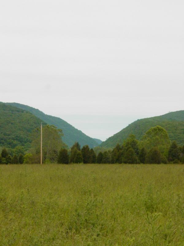 The Trough from the road to McNeill's Public Launch - Click to Enlarge