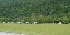 Camp Wapocoma fields