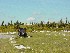 Parking near Dolly Sods