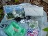 Cache Contents at Fort Ogden