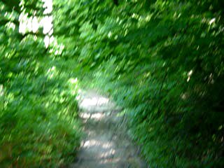Movie: MOV01805.MPG Rough Trail