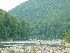 Cheat River at Jenkinsburg Bridge