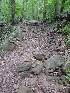 Rocks