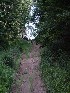 Coming Down