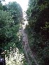 Tom goes exploring