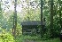 The Cabin