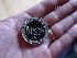 Maryland Geocaching Society Coin