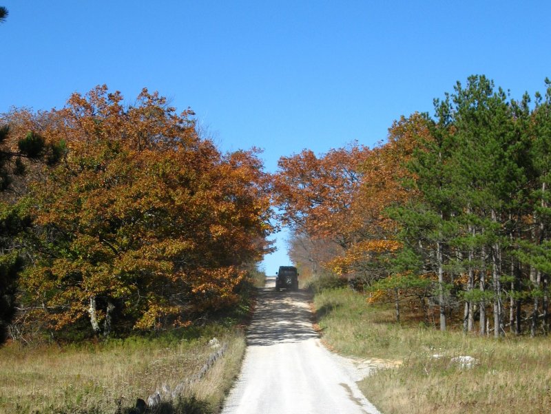 To Dolly Sods