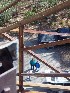 Looking down from Olson Tower