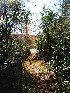 Path to Big Run Overlook