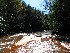 Stream near Rail Trail