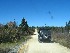 To Dolly Sods
