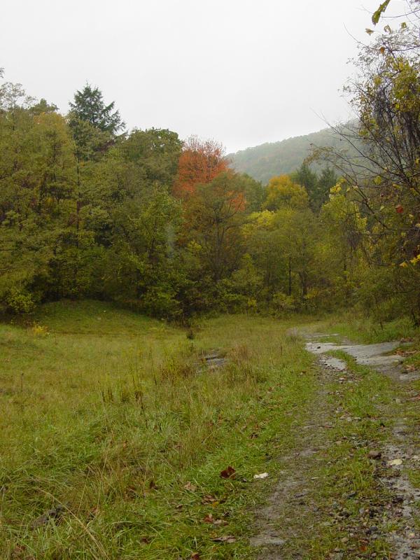 Brownfield Hollow - Click to Enlarge