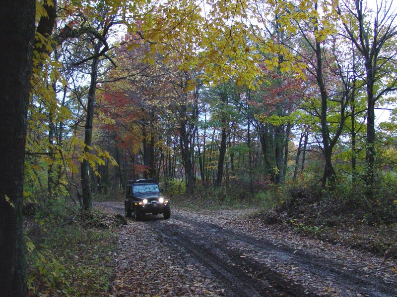 Jeep on Sumey Road - Click to Enlarge