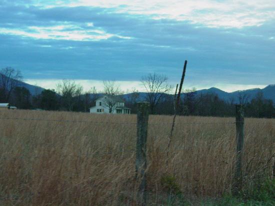 View on Road Out