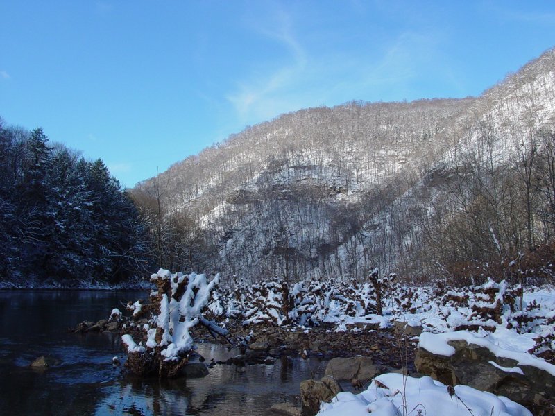 Cooper Rock from Beaver Hole