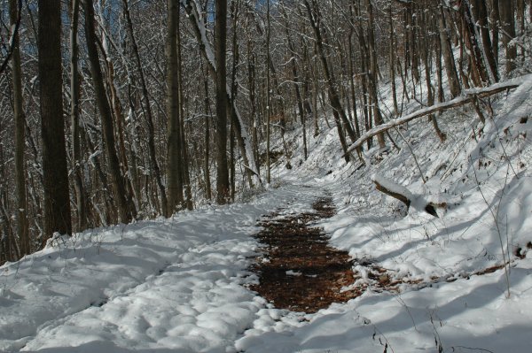 Trail down to Beaver Hole