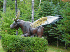 Moose Fly