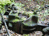 Train Parts