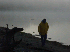 Carl at Daybreak on Round Pond