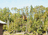 A-Frame house in woods