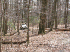 Trail