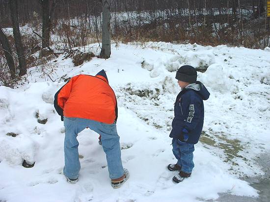 Pep and Ted tracking deer